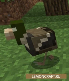 Скриншот 5