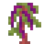 Jaded Amaranthus