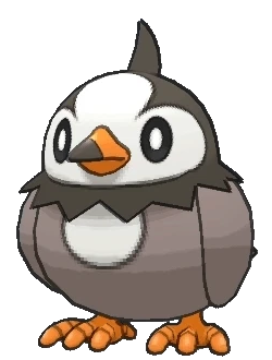ShinyHunters - Guides