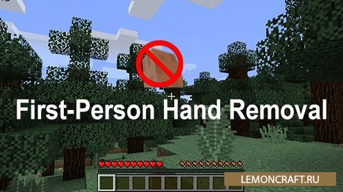 Мод на скрытие руки First-Person Hand Removal [1.12.2]