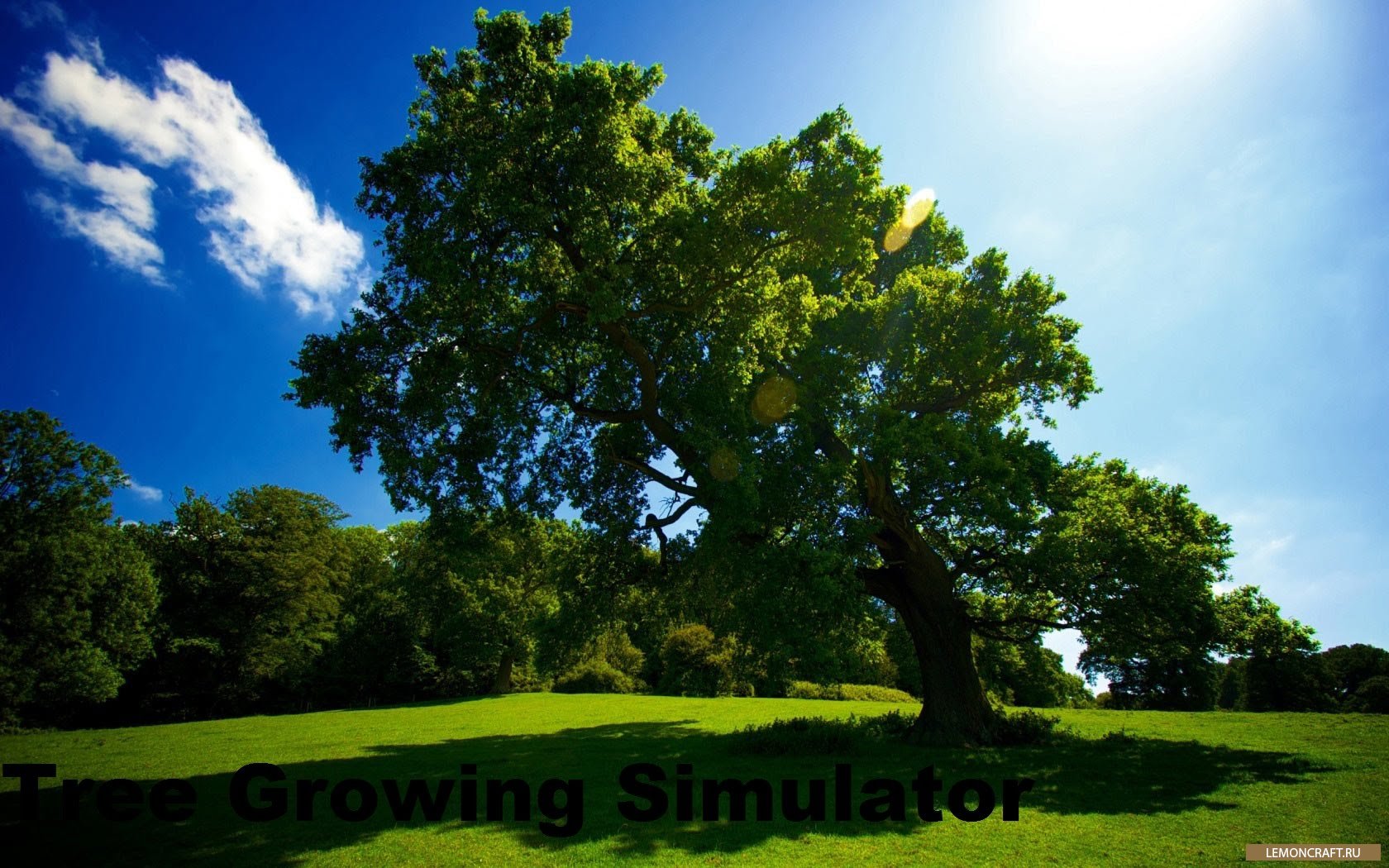 Мод на быстрорастущие деревья Tree Growing Simulator [1.16.1] [1.15.2] [1.14.4] [1.12.2]