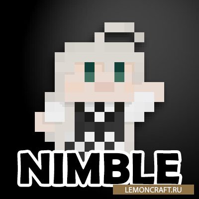 Мод на анимацию камеры Nimble [1.15.2] [1.14.4] [1.12.2]