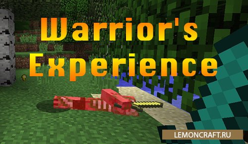 Мод на новую систему получения опыта Warrior's Experience [1.12.2]