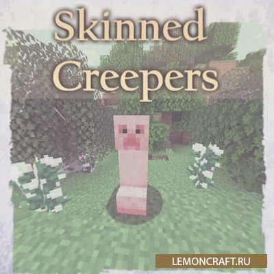 Мод на голых крипперов Skinned Creepers [1.14.4]