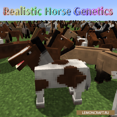 Мод на реалистичную генетику Realistic Horse Genetics [1.17.1] [1.16.5] [1.15.2] [1.12.2]
