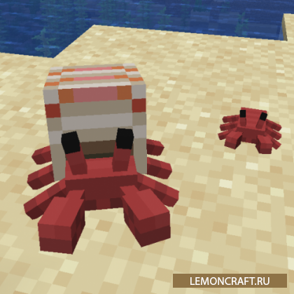 Мод на раков-отшельников Cute Hermit Crabs [1.16.1]